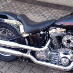 Softail Springer 7