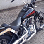 Softail Springer 8