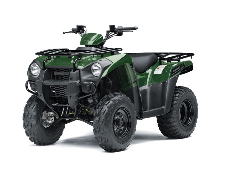 Kawasaki Brute Force 300