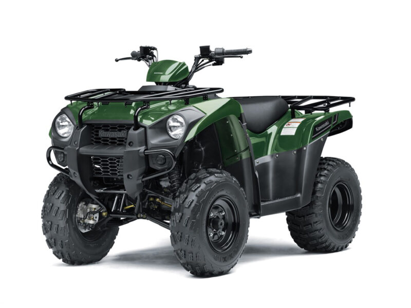 Kawasaki Brute Force 300